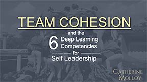 Team Cohesion